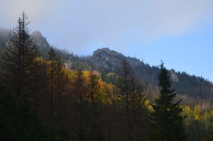 Fotoaktywni 17